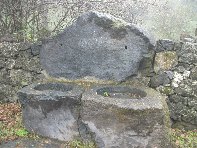 fugio Saletti-20101010 019